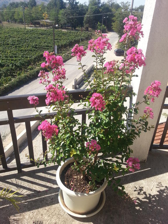 Guest House Robi Međugorje Exterior foto